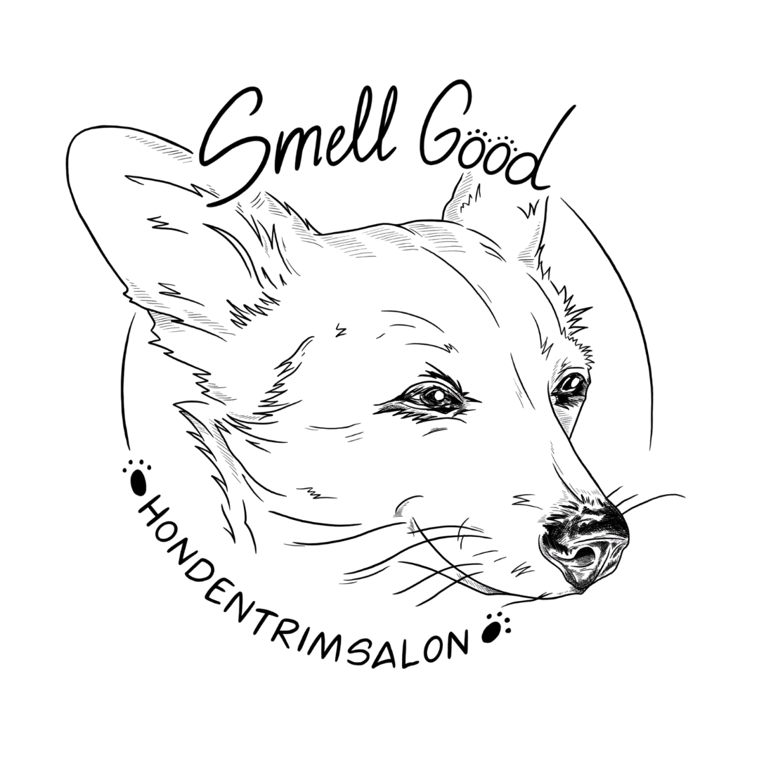 Untitled-design-56.png