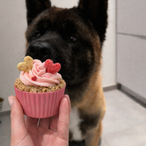 Grote Pupcakes